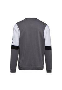 Diadora - Bluza męska DIADORA SWEATSHIRT CREW DIADORA CLUB. Kolor: szary