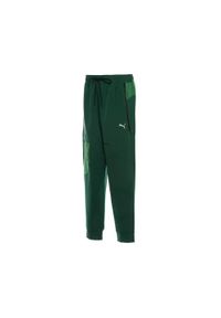 Puma - Spodnie treningowe Portugal Tech 2025. Kolor: niebieski, zielony, wielokolorowy. Materiał: dresówka. Sport: fitness, piłka nożna