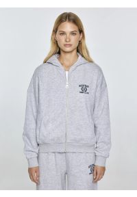 Big-Star - Bluza damska z kapturem rozpinana szara Madelina 901. Typ kołnierza: kaptur. Kolor: szary. Materiał: dresówka, dzianina. Wzór: aplikacja, haft. Styl: sportowy, elegancki