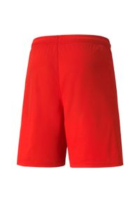 Spodenki męskie Puma teamLIGA. Kolor: czerwony, biały, wielokolorowy. Długość: krótkie. Sezon: lato