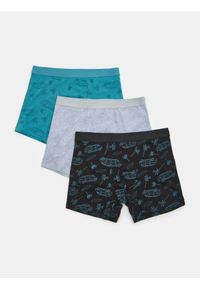 Sinsay - Bokserki Long 3 pack - wielobarwny