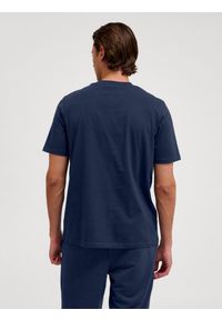 Hummel koszulka męska bawełniana logo haftowane hml Pulse T-shirt. Kolor: zielony, niebieski, wielokolorowy. Materiał: bawełna. Wzór: haft. Sport: fitness
