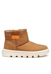 Śniegowce Geox. Kolor: brązowy #1