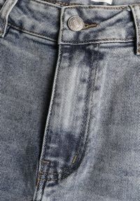 Renee - Jasnoniebieskie Jeansy z Bawełny Barrel Leg High Waist Vezorea. Okazja: na co dzień. Stan: podwyższony. Kolor: niebieski. Sezon: lato. Styl: casual #3