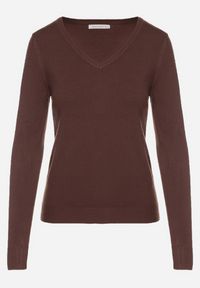 Born2be - Brązowy Sweter z Wiskozą i Dekoltem w Serek Olisela. Okazja: na co dzień. Typ kołnierza: dekolt w serek. Kolor: brązowy. Materiał: wiskoza. Styl: casual, elegancki #6