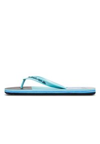 Quiksilver - Klapki dla Mężczyzn MOLOKAI STRIPE 25. Okazja: na plażę. Kolor: niebieski. Materiał: guma, syntetyk, materiał. Styl: sportowy