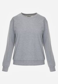 Born2be - Szara Bluza z Bawełną Ozdobiona Ściągaczami Hilani. Okazja: na spacer, na co dzień. Kolor: szary. Materiał: bawełna. Wzór: aplikacja. Styl: casual, elegancki, klasyczny #4