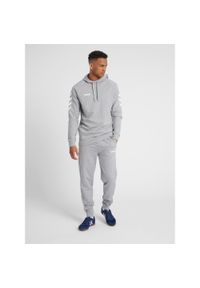 Bluza sportowa z kapturem męska Hummel Go Cotton Hoodie. Typ kołnierza: kaptur. Kolor: szary. Sport: taniec, joga i pilates