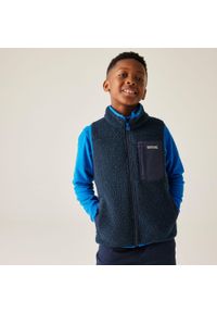 Regatta - Kamizelka dziecięca polarowa Junior Frankie. Kolor: niebieski, turkusowy, wielokolorowy. Materiał: polar #1
