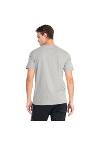Nike - T-shirt Męski Sportswear. Kolor: szary. Sport: turystyka piesza