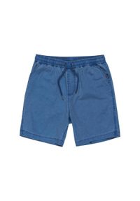 Quiksilver - Spodenki z elastyczną talią dla Chłopcy TAXER YOUTH 15". Kolor: zielony, niebieski, wielokolorowy. Materiał: bawełna, elastan, materiał. Długość: krótkie. Sezon: lato