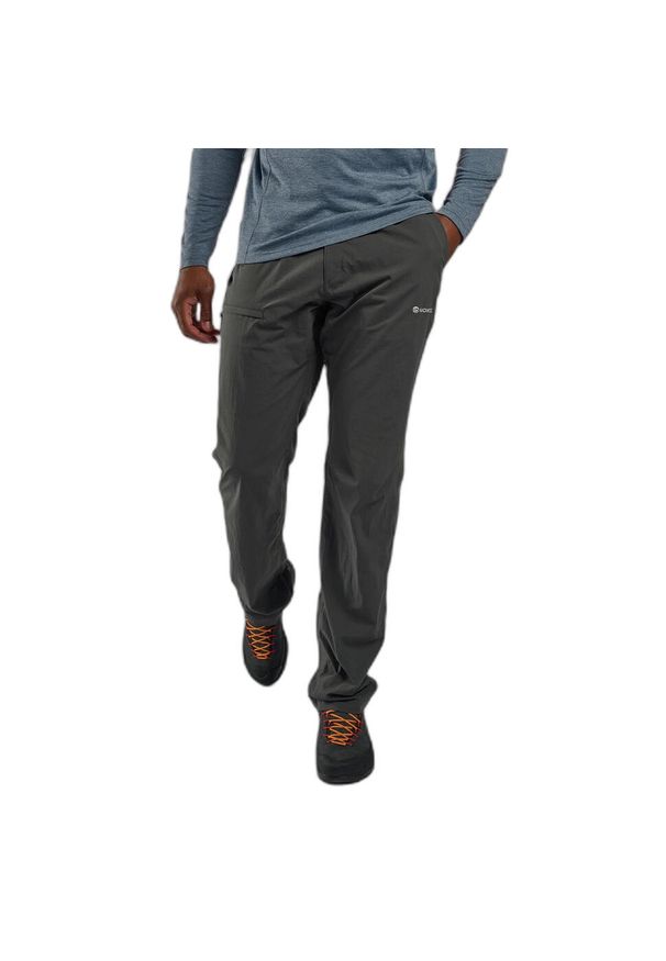 Spodnie trekkingowe męskie Montane Terra Lite Pants. Kolor: szary. Sport: turystyka piesza