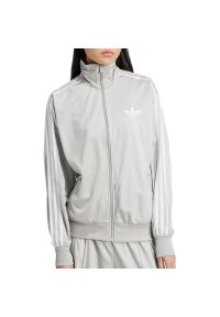 Adidas - Bluza damska adidas Adicolor Classic Firebird Loose JC8254 - szara. Kolor: szary. Materiał: materiał, tkanina, dresówka, poliester. Wzór: paski, aplikacja. Sezon: lato. Styl: street #1