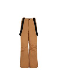 Spodnie narciarskie, snowboardowe dziecięce Protest SPIKET JR snowpants. Kolor: brązowy, wielokolorowy, pomarańczowy. Sport: snowboard, narciarstwo