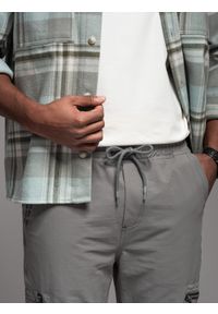 Ombre Clothing - Spodnie męskie joggery z kieszeniami cargo i printem – szare V4 - Rozmiar: M. Okazja: na co dzień. Kolor: szary. Materiał: guma, tkanina, poliester, materiał, bawełna, elastan. Wzór: nadruk. Styl: casual #10