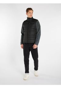 Kamizelka turystyczna męska Protest BRAMPTOON. Kolor: czarny. Materiał: puch. Długość rękawa: bez rękawów. Sport: kolarstwo, turystyka piesza #2