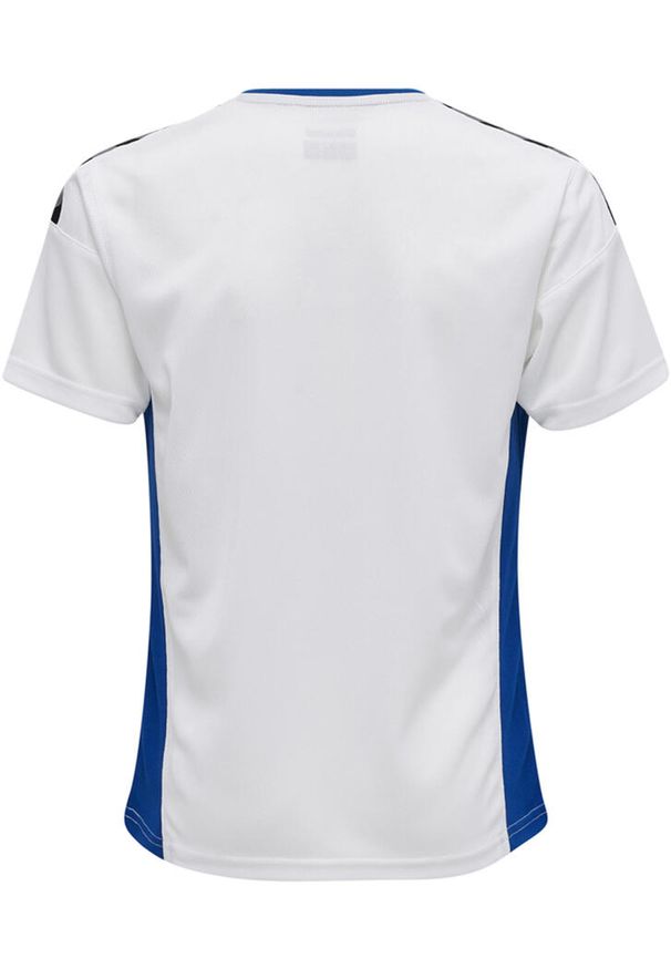 Jersey Hummel enfant hmlAUTHENTIC Poly HML. Kolor: niebieski, wielokolorowy, biały. Materiał: jersey. Sport: piłka nożna