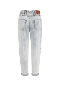 ONETEASPOON - Spodnie jeansowe Pioneer High Waist. Stan: podwyższony. Kolor: niebieski #2