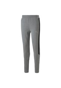 Spodnie Mężczyzna Puma Evostripe szary. Kolor: wielokolorowy, szary, czarny. Sport: fitness #1