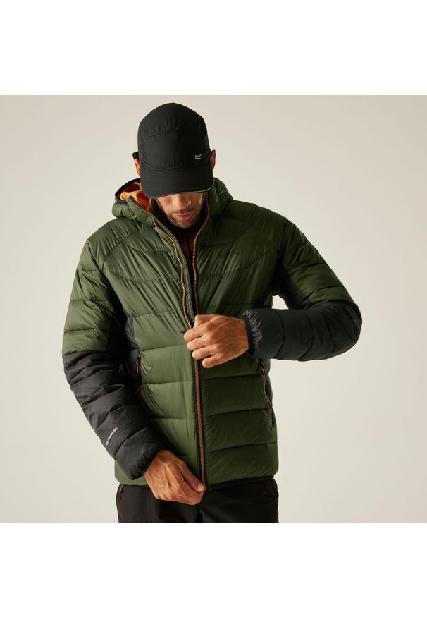 Regatta - Kurtka męska przejściowa ocieplana Dalent z kapturem. Typ kołnierza: kaptur. Kolor: zielony, brązowy, wielokolorowy. Materiał: puch, syntetyk. Sport: turystyka piesza