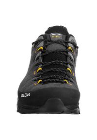 Buty Trekkingowe Męskie Salewa Alp Trainer 2 Gtx. Kolor: czarny, zielony, wielokolorowy, szary. Materiał: guma, zamsz. Sport: turystyka piesza