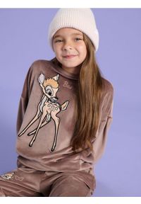 Sinsay - Bluza Disney - brązowy. Kolor: brązowy. Materiał: materiał, welur. Wzór: motyw z bajki