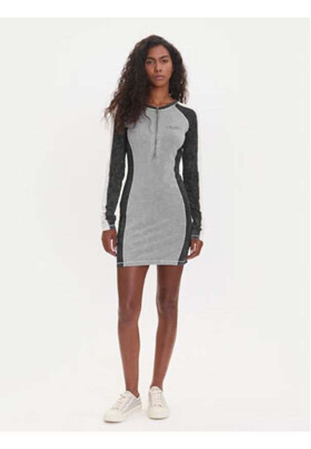 Guess Sukienka codzienna W5YK79 K1D80 Szary Regular Fit. Okazja: na co dzień. Kolor: szary. Materiał: bawełna. Typ sukienki: proste. Styl: casual