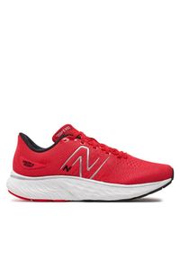 Buty do biegania New Balance. Kolor: czerwony