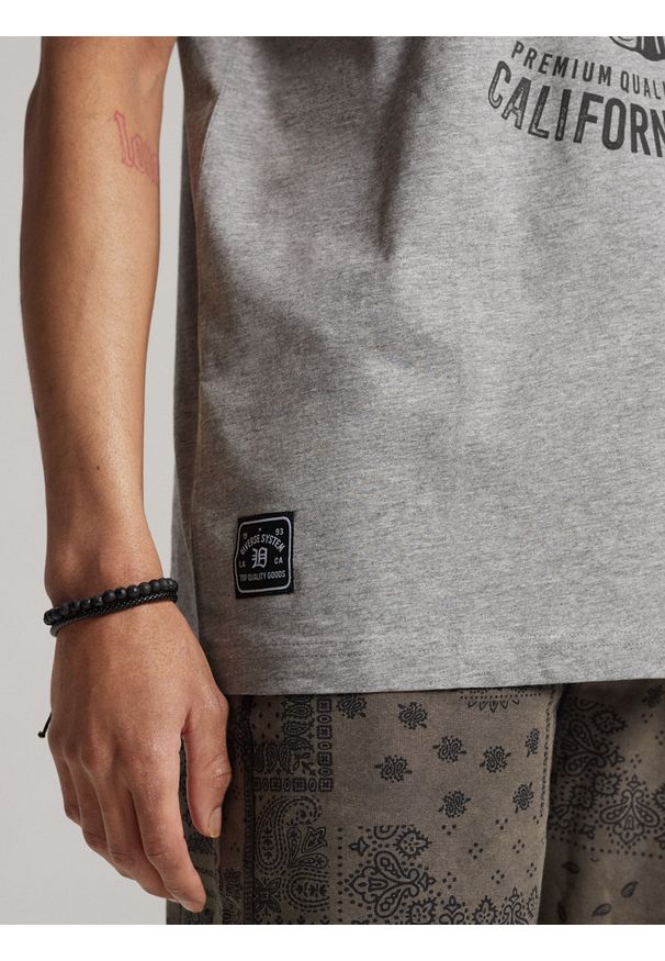 Diverse - T-shirt męski z nadrukiem WOLF CALI S1819 - szary. Kolor: szary. Materiał: poliester, bawełna. Wzór: nadruk