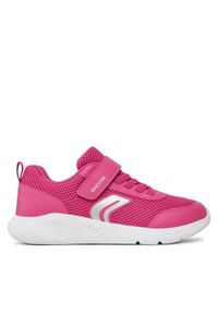 Geox Sneakersy J Sprintye Girl J36FWB 01454 C8002 D Różowy. Kolor: różowy