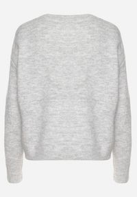Born2be - Jasnoszary Sweter z Ozdobnym Haftem z Przodu Minavira. Okazja: na co dzień. Kolor: szary. Materiał: jeans. Wzór: haft. Styl: klasyczny, elegancki, casual #4