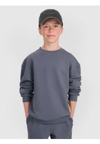 4f - 4F Bluza dresowa oversize nierozpinana bez kaptura chłopięca - szara 122 (6-7 lat). Okazja: na co dzień. Typ kołnierza: bez kaptura. Kolor: szary. Materiał: dresówka. Wzór: napisy, gładki, ze splotem, nadruk. Sezon: lato. Styl: młodzieżowy, klasyczny, casual, sportowy #1