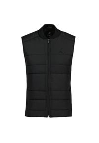 Wodoodporna kurtka puchowa Le Coq Sportif Essentiels T/T N°1. Kolor: czarny. Materiał: puch. Długość rękawa: bez rękawów #1