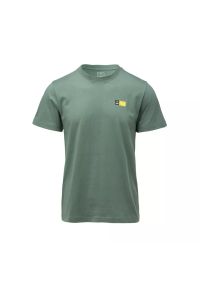 Koszulka męska Elbrus Frode - zielona, Rozmiar M. Kolor: zielony. Materiał: bawełna, tkanina, jeans, włókno. Sezon: lato. Sport: fitness #1