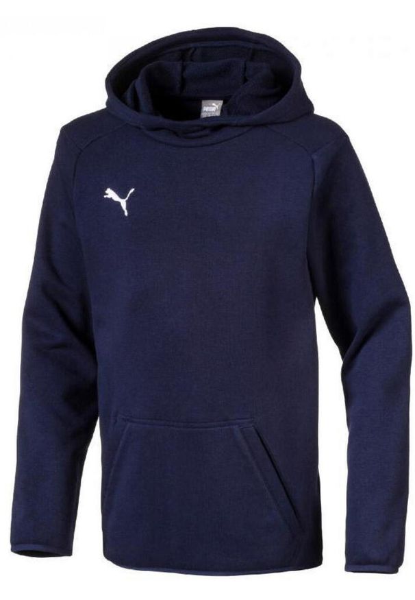 Puma Kaptui 116 - Miękka bawełniana bluza dla dzieci. Typ kołnierza: kaptur. Kolor: wielokolorowy. Materiał: poliester, bawełna