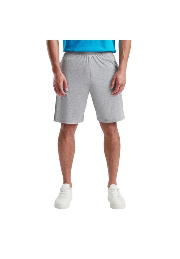 FRUIT OF THE LOOM - Shorty Męskie Jersey Iconic 195. Kolor: szary. Materiał: jersey