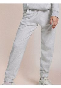 Sinsay - Spodnie dresowe jogger - Inny. Materiał: dresówka