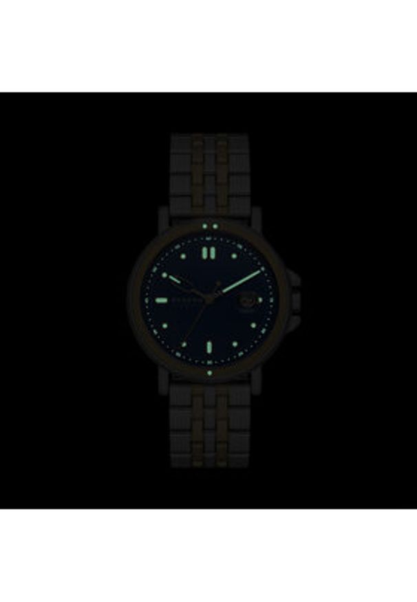 Skagen Zegarek Signature SKW6921 Niebieski. Kolor: niebieski