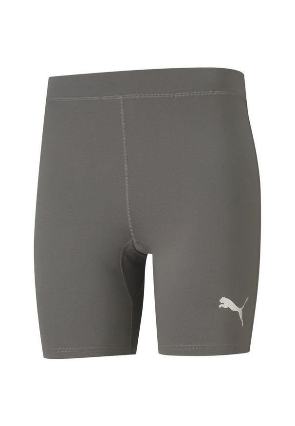 Puma - Spodnie Męskie Liga Base Layer. Kolor: szary