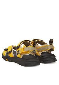 Timberland Sandały Garrison Trail TB0A6DXTETU1 Żółty. Kolor: żółty. Materiał: materiał #6