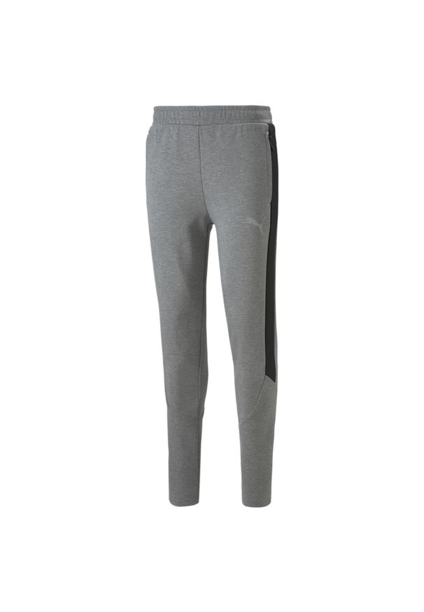 Spodnie Mężczyzna Puma Evostripe szary. Kolor: wielokolorowy, szary, czarny. Sport: fitness