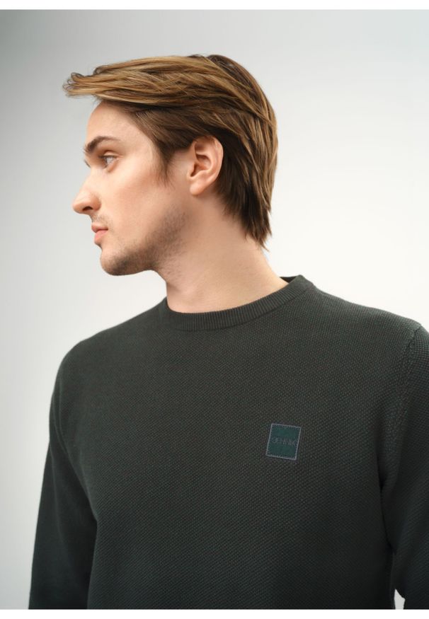 Ochnik - Zielony bawełniany sweter męski z logo. Kolor: zielony. Materiał: bawełna. Długość: długie. Wzór: aplikacja