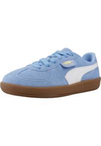 Tenisówki Puma Model Palermo Jr Kolor Niebieski. Kolor: wielokolorowy, niebieski, brązowy, biały. Sport: turystyka piesza #1