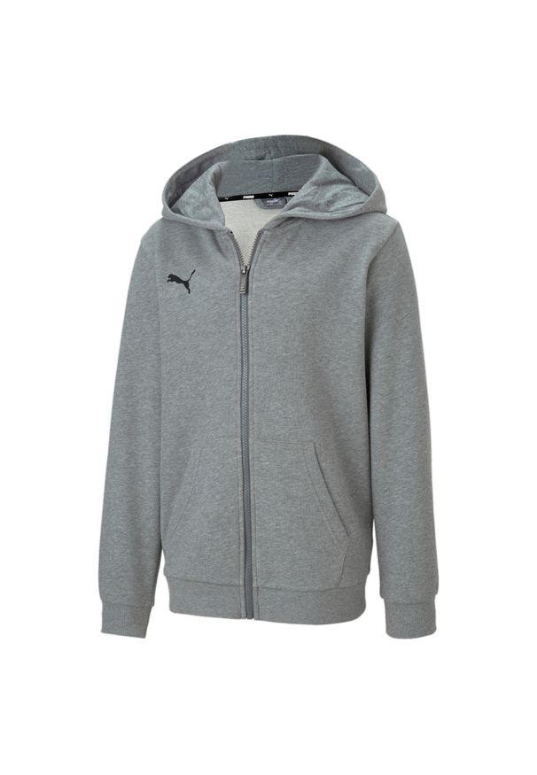 Bluza z kapturem Puma Teamgoal 23 Casuals Hooded Jacket Jr, Dzieci. Typ kołnierza: kaptur. Kolor: szary. Materiał: bawełna, materiał