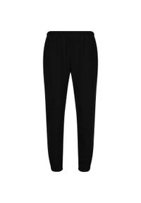 ENDURANCE - Spodnie Endurance Arlanc. Kolor: czarny. Sport: fitness #1
