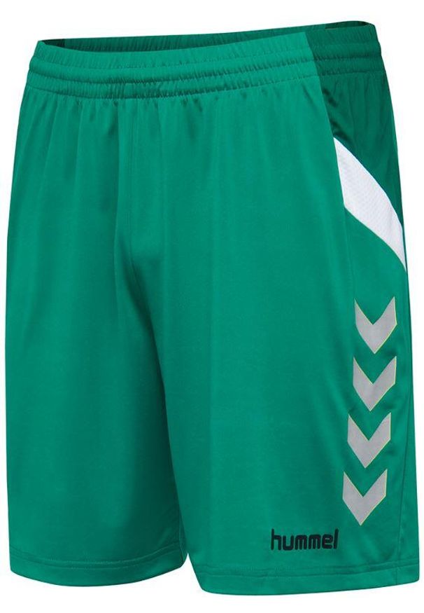 Shorts Hummel Tech Jr Green 116 dla Dzieci - Oddychające i Zrównoważone. Okazja: na uczelnię. Kolor: zielony. Styl: sportowy. Sport: joga i pilates