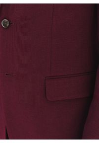 Pako Lorente - PAKO LORENTE – Bordowy garnitur męski. Kolor: czerwony. Materiał: wiskoza, poliester, elastan #3