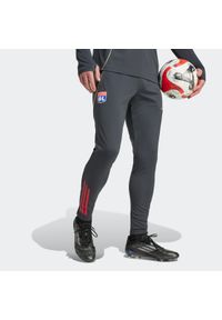 Adidas - Spodnie piłkarskie treningowe ADIDAS Olympique Lyonnais 25/26. Materiał: dresówka. Sport: piłka nożna