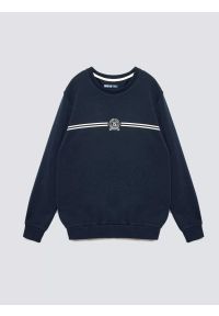 Big-Star - Bluza męska z haftem granatowa Daniel 403. Okazja: na co dzień. Kolor: niebieski. Materiał: dzianina. Wzór: haft. Styl: casual #3