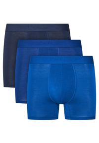Reebok Komplet bielizny COATES - AW24 (3-pack) Niebieski. Kolor: niebieski. Materiał: wiskoza